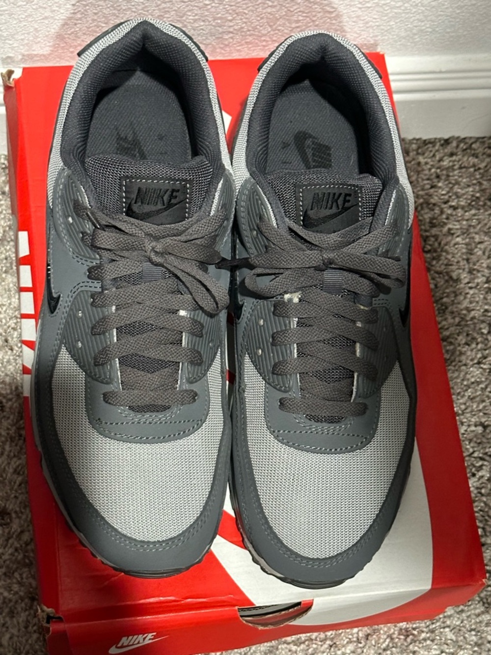 Nike Grey and Charcoal Low-Top Trainers